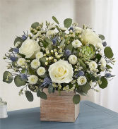 Country Pearl™ Arrangement