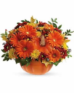 Country Pumpkin in Storrs, CT | THE FLOWER POT Country Pumpkin in Storrs, CT | THE FLOWER POT