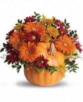 Country Pumpkin 