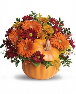 Country Pumpkin