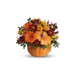 COUNTRY PUMPKIN