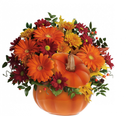 COUNTRY PUMPKIN FALL