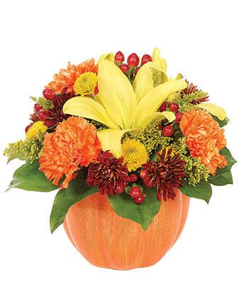 Country Pumpkin fall flowers in a terracotta pumpkin