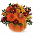 Country Pumpkin Thanksgiving, Autumn