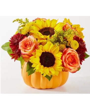Country pumpkin  Flower arrangement  in Pensacola, FL | Cordova Flowers and Gifts