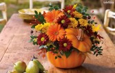 Country Pumpkin fresh flowers