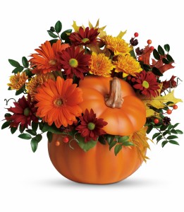 Country Pumpkin H1751A
