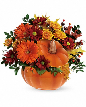 Country Pumpkin T175-1 13.5"(w) x 12"(h) ONE SIDED