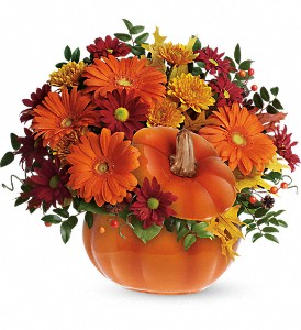 Country Pumpkin T175-1B