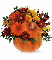 F*  Country Pumpkin   T175-1A 