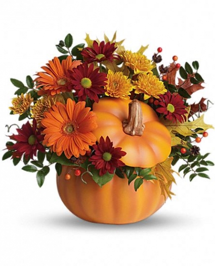 Country Pumpkin Teleflora's
