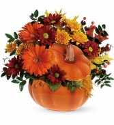 F*  Fall  Country PumpkinT175-1A  