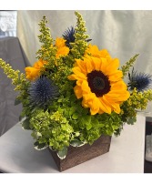 Country Sunshine Mixed 