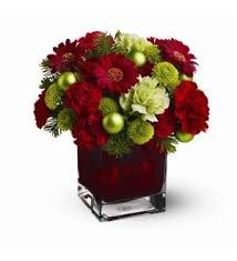 Cozy Cube Arrangement Gerber Daisys maybe substituted with Red Roses