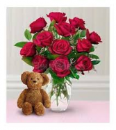 Cozy Dozen Roses