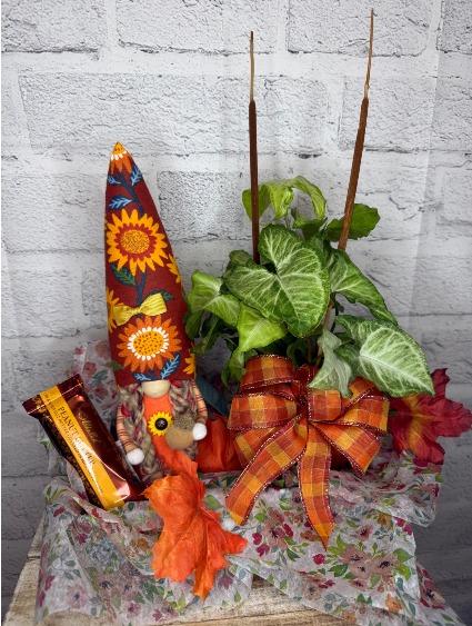 Cozy Gnome Bundle 