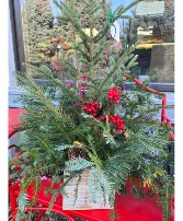 Cozy Home porch pot- outdoor