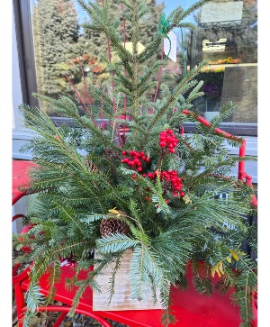 Cozy Home porch pot- outdoor