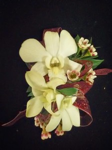 CR-5 Dendrobium Orchid Corsage Corsage-Wrist