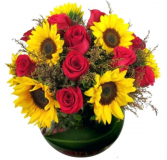 Crazy about you Sunshine  