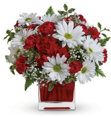 Crazy for Daisies