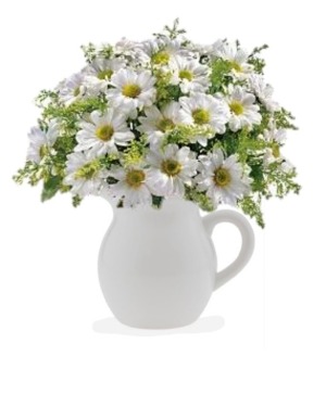Crazy for Daisies Floral Bouquet in Whitesboro, NY | KOWALSKI FLOWERS INC. Crazy for Daisies Floral Bouquet in Whitesboro, NY | KOWALSKI FLOWERS INC.