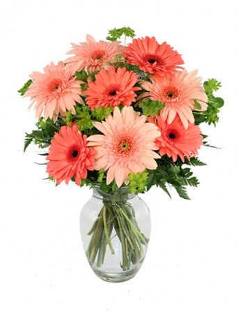 Crazy in Love Daisies Arrangement in Cary, NC | GCG FLOWER & PLANT DESIGN