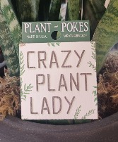 Crazy Plant Lady Plant Stake 