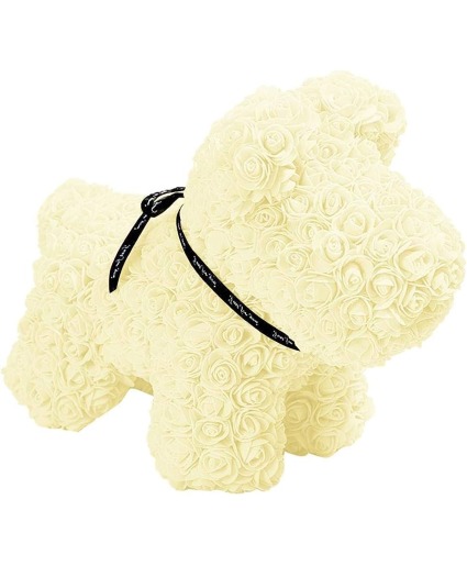 Cream Foam Rose Dog
