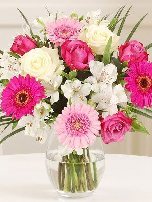cream of gerberas Just Because