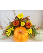 Create your own Pumpkin Flower Arrangement  WORKSHOP AT ENCHANTED FLORIST 10/02 - 6.00PM TILL 7.30 PM