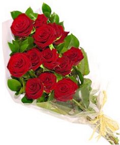 Everlasting Bouquet Dozen Wrapped Roses