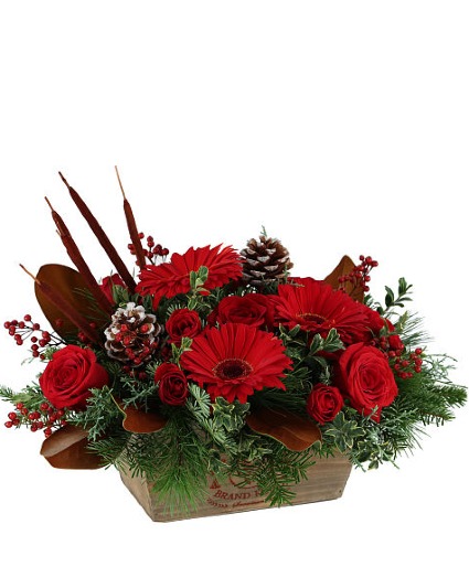 Crimson Christmas Arrangement