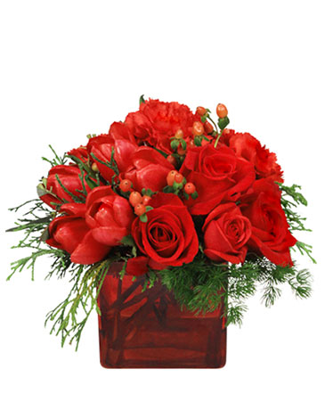 red roses for christmas