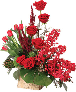 Crimson Ivy Roses Flower Arrangement in Bracebridge, ON - CR Flowers &  Balloons ~ A Bracebridge Florist