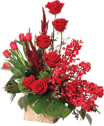 Crimson Class Floral Arrangement in Sunrise, FL | FLORIST24HRS.COM