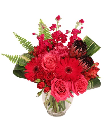 Crimson Compassion Floral Design  in Newark, OH | JOHN EDWARD PRICE FLOWERS & GIFTS