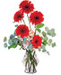 Crimson Gerberas Floral Design