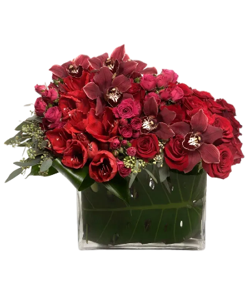 Crimson Harmony  in Oakland Park, FL | Eva's Flowers & Gifts