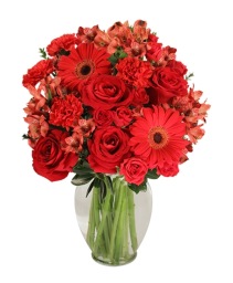 Charismatic Crimson Floral Arrangement