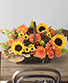 Crisp Autumn Morning Lifestyle Arrangement