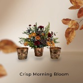 Crisp Morning Bloom Hint of Fall