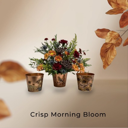 Crisp Morning Bloom Hint of Fall