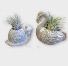Critter Cuties Air Plants 