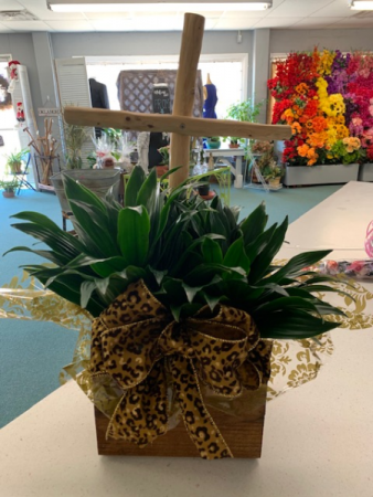 Cross Planter Plant