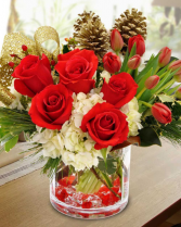 Croton Christmas Arrangement