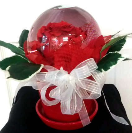 Crystal Ball Comforts Globe Rose Arrangement