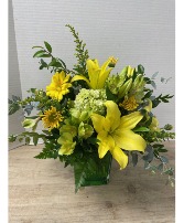 Cube - Cheery Yellow Arrangement