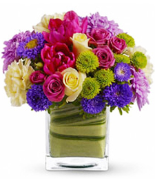 Cube Of Many Colours Cube Arrangement