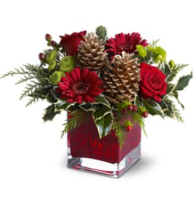CUBE WITH PINECONES AND RED FLOWERS FRESH